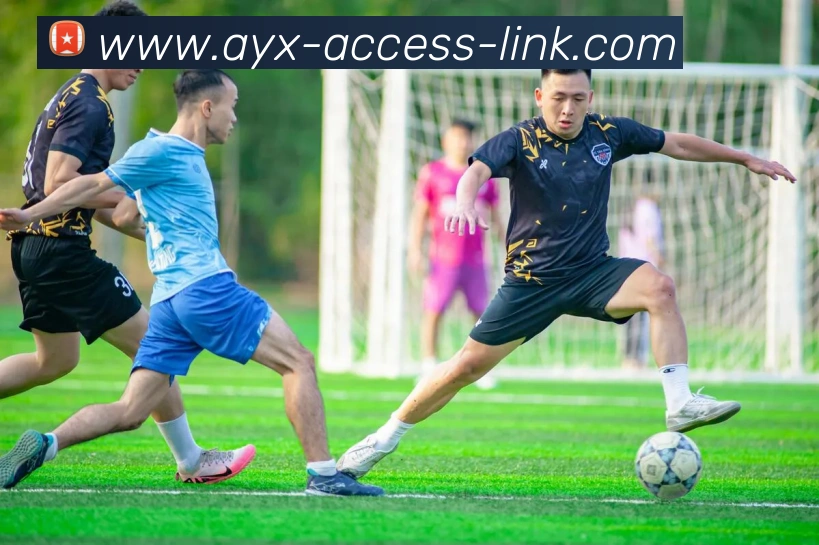 辅助工具 辅助工具